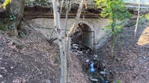 Ливадия. Дорога от Ялты к Дворцу. Крым. Январь 2024