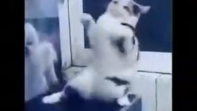 4 марта 2017 г.(7) смотреть онлайн