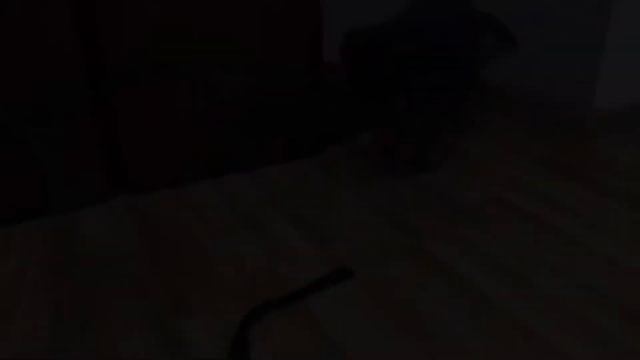 Щенок Немецкой овчарки в квартире - Арчи 1 месяц смотреть онлайн