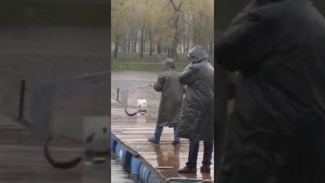 Ловля форели на