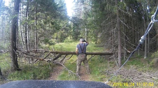 Одиночная поездка в лес с двумя ночевками, на осеннюю охоту в августе. Шины Купер ст макс. смотреть онлайн