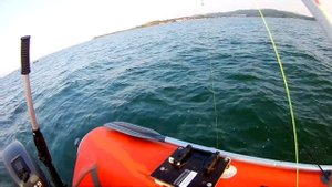 Камбала. Залив Восток. Сорвало винт на моторе. Охота и рыбалка на Дальнем Востоке