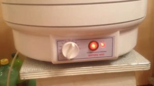 Сушим тыкву. Результат сушки 2,5 кг.
