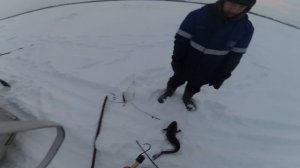 Ловля налима зимой! Рыбалка в Якутии! 06.12.2020. Winter fishing in Yakutia!