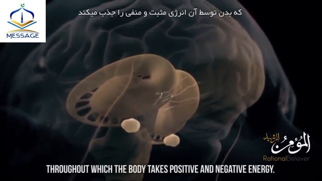Польза Молитвы в Исламе | Зачем Мусульмане моляться 5 раз в день в сторону Каабы? |Вера Ислам