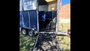 Коневоз, перевозка двух лошадей или три отъёма. Игорь, тел. 8 918 431 12 69 #коневоз