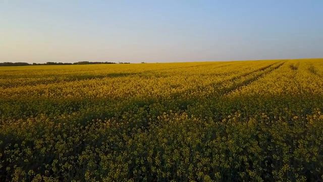 Медитация за изобилие 12 мин смотреть онлайн