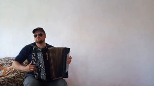 Огней так много золотых_под Баян
