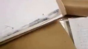 В суде г  Сельцо Брянской обл  крадут доказательства