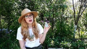 Отзыв на летние артматы от AVON Perceive Dew и Perceive Sunshine
