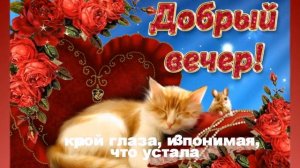 Добрый вечер! ❤️Я желаю вам добра! Музыкальная открытка с добрым вечером!