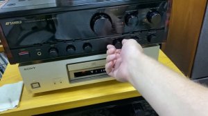 Воскресная солянка и Сансуй Дыр Дыр