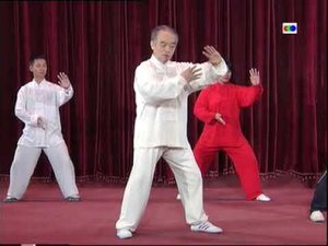 8. Силовая работа в Чень ши---цигун сто рукояток