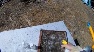 Как и чем очистить рамки от плесени