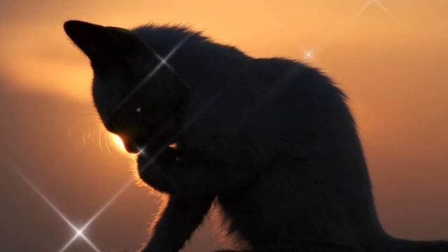 Не бродить не мять в кустах багряных, песня под гитару(Сергей Есенин) смотреть онлайн