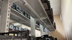 Выгонка тюльпана, освещение, вентиляция, самое главное!!!