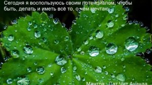 5 день медитация на изобилие