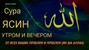 Ясин от всех Ваших проблем и бед включить дома тем кто на Дороге