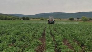 обработка картофеля от сорняка новым опрыскивателем OGR ...800...18 ЧАСТЬ 2