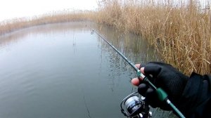 Тест новых приманок для мормышинга от Eleven Lures, как отнесëтся к ним карась?