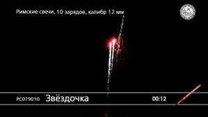 РС019010 Звездочка