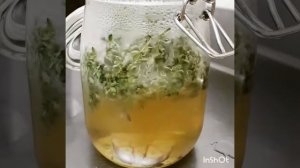 Ароматное масло из тимьяна