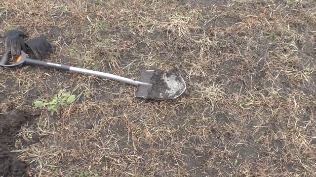 Открытие 2018 орден царя Николая смотреть онлайн