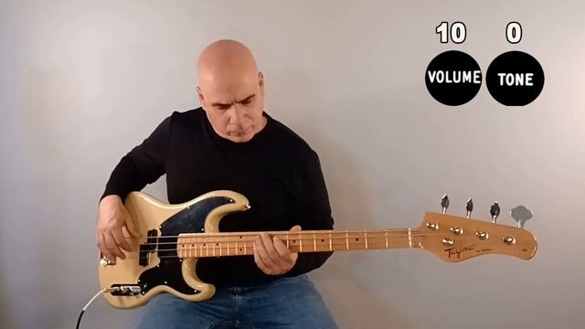Rib13 Bass - Tagima TW-66 Bass Review смотреть онлайн