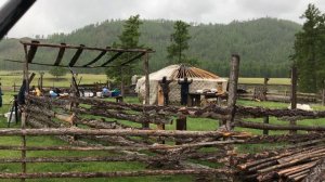 Как ставят юрту тувинцы?