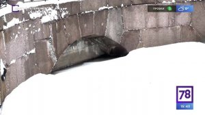 Программа "Другой Петербург". Эфир от 06.04.2023