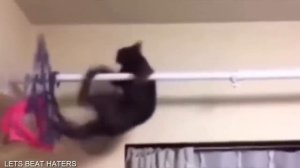 Подборка смешных видео и приколов 98? Лучшие ПРИКОЛЫ 2023