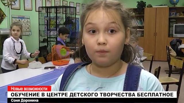 Чему учат в Центре детского творчества?