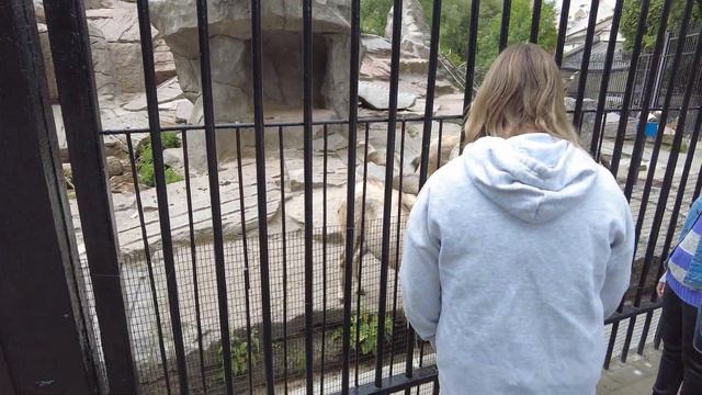 Московский зоопарк 2022 смотреть онлайн