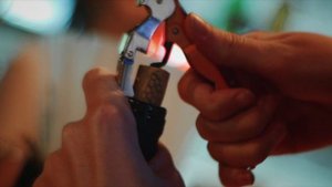 ВЕДУЩИЙ НА ЮБИЛЕЙ