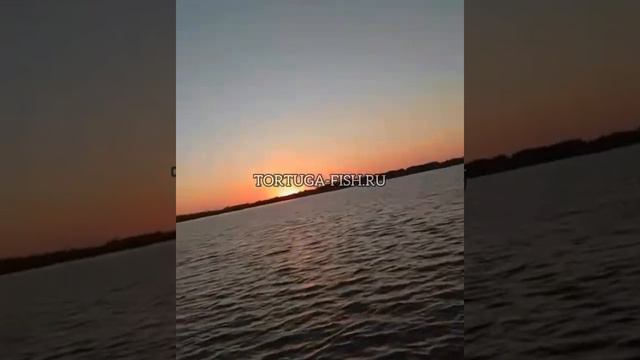 Утренняя рыбалка в Дельте Волги🎣🔥