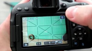 Выбор лучшей зеркалки для начинающего фотографа - Canon 800D