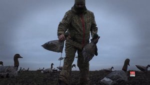 ?ВЕТРОВЫЕ ПРИМАНКИ НА ГУСЯ И УТКУ ?ЛЕТАЮЩИЕ ГУСИ ?ЧУЧАЛА СЕРОГО И БЕЛОЛОБОГО ГУСЯ ?КАК ОНИ РАБОТАЮТ