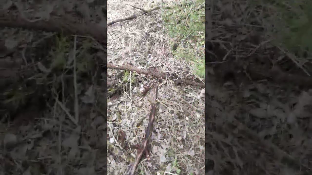 Металокоп.Железный удав. смотреть онлайн