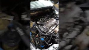 Nissan Primera P12 2002-2003 2.2 турбо дизель, система DENSO