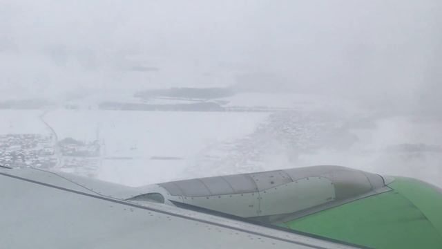 Посадка самолета в Домодедово, Авиакомпания s7
