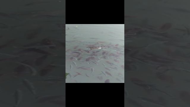 2022-11-18 смотреть онлайн