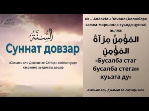 40- хьадис || «Сахьих аль-джамиI ас-сагIир»