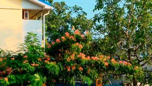 Анапа улица Северная частный сектор http://www.welcometoanapa.ru