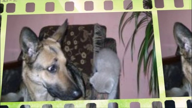 Марина