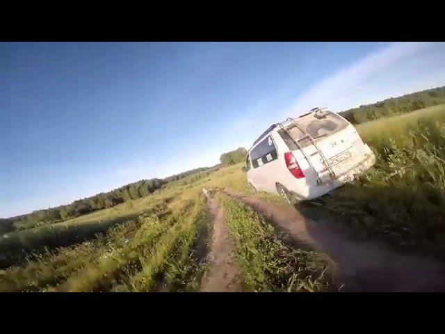 Русские псовые борзые в арендуI8(916)702-11-08 Москва