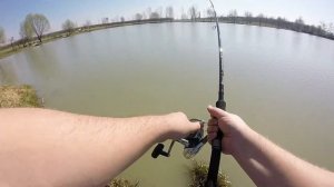 Colmic Method F1 - Method Feeder Fishing