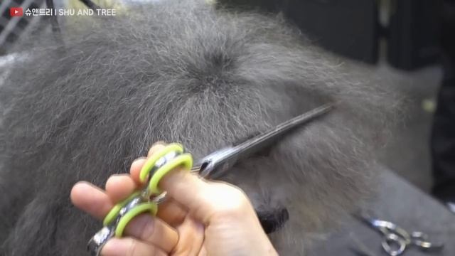 엄마, 아빠가 못 알아봄. (너무 예뻐져서)