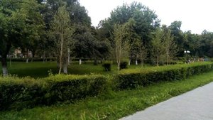 Александрия (Украина) Дежавю 2+1 Соборная Площадь 12.06.2016