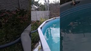Подогрев бассейна своими руками