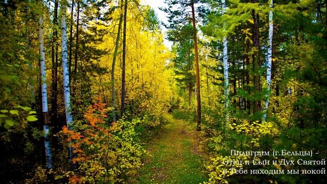 Пилигрим г. Бельцы - Отец и Сын и Дух Святой в Тебе находим мы покой
